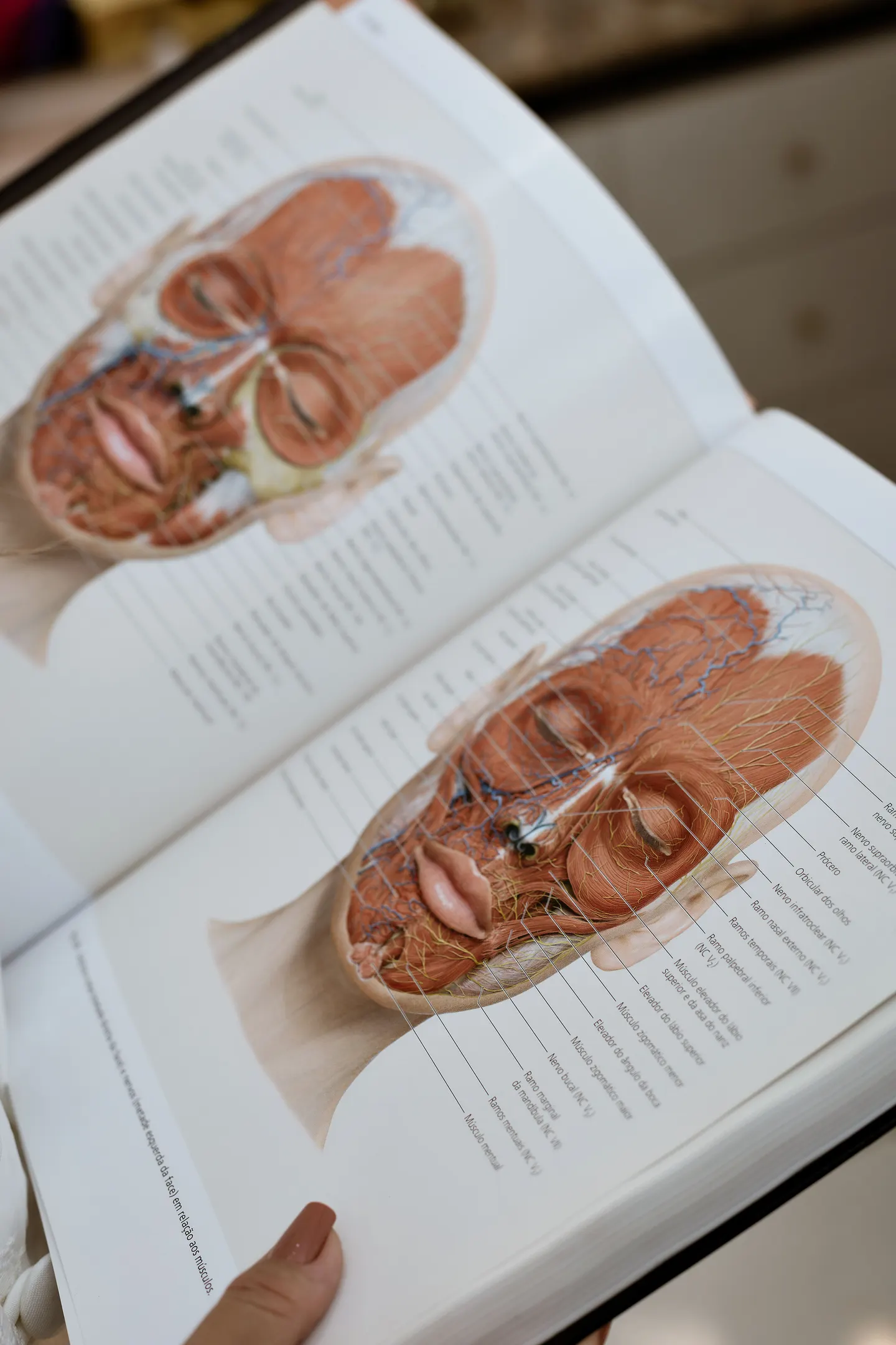 Integrative Orofacial Harmonization